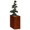 Miniatuurafbeelding van het product 3 van 11