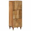 vidaXL Hoge kast 40x33x110 cm massief mangohout