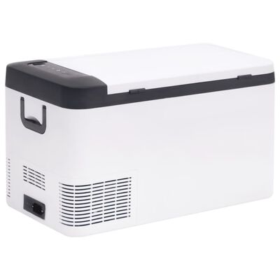 vidaXL Koelbox met handvat en adapter 18 L PP & PE zwart en wit