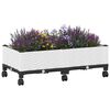 Miniatuurafbeelding van het product 3 van 8