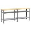 vidaXL Werkbankset 2 st Beige en Grijs Gepoedercoat staal