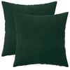 vidaXL Kussensloop 2 pcs HEERLEN Donkergroen 40 x 40 cm Fluweel