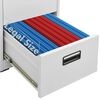 vidaXL Archiefkast 46x62x102,5 cm staal lichtgrijs