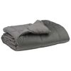 vidaXL Zomer Dekbed Gekwilt Lichtgrijs 135 x 200 cm Microfiber