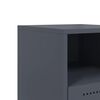 Miniatuurafbeelding van het product 10 van 13
