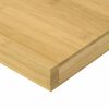 vidaXL Wandschap 60x20x4 cm bamboe