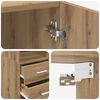 Miniatuurafbeelding van het product 9 van 11