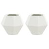 vidaXL Plantenbak 2 pcs Wit 50 x 50 x 40 cm Staal