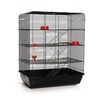 Beeztees Rattenkooi Remy 58x38x71 cm zwart 266815