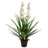 vidaXL Kunstplant met pot cymbidium orchidee 100 cm groen