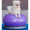 FitPAWS Dierenbalansbal TRAX Donut 55 cm paars