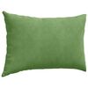 vidaXL Sofa Kussens 2 stuks Lichtgroen 60 x 40 cm Cordstof