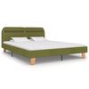 vidaXL Bedframe met LED zonder matras 150x200 cm groen
