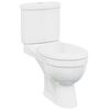 vidaXL Toilet met stortbak wit