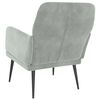 vidaXL Fauteuil 62x79x79 cm fluweel lichtgrijs