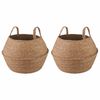 vidaXL Plantenpot met handvatten 2 pcs Naturel &Oslash; 32 x 32 cm