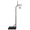 vidaXL Basketbalstandaard 282-352 cm polyethyleen