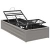 vidaXL Elektrisch Verstelbaar Bedframe Lichtgrijs 190 x 100 x 33,5 cm