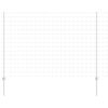 vidaXL Euro-hek met palen 10 x 1,6 m Gegalvaniseerd staal Mesh