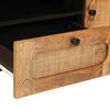 vidaXL TV-kast met lade Bruin 105 x 33 x 46 cm Massief Mango Hout