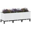 Miniatuurafbeelding van het product 3 van 8