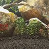 Miniatuurafbeelding van het product 2 van 5