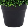 Miniatuurafbeelding van het product 5 van 6