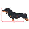 Miniatuurafbeelding van het product 5 van 5