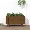vidaXL Plantenbak verhoogd 101x50x57 cm massief grenenhout honingbruin