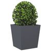 Miniatuurafbeelding van het product 4 van 12