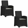 vidaXL Ligstoel in rietenlook 2 pcs Anthraciet en Lichtgrijs PP