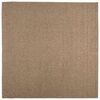vidaXL Binnen- en buitentapijt AGIRA Naturel 200 x 200 cm Polyester