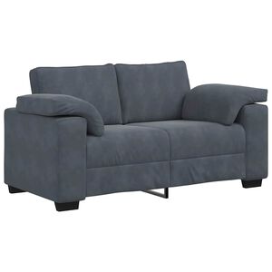 vidaXL Loveseat bank 160x77x82 cm fluweel donkergrijs