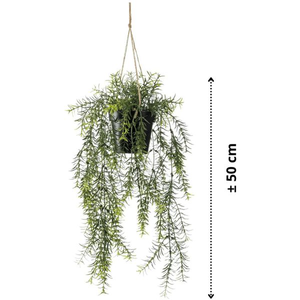 Emerald Kunstplant hangend in pot asparagus 50 cm