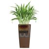 LECHUZA Plantenbak Cubico 40 ALL-IN-ONE hoogglans taupe 18215