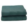 vidaXL Tenttapijt Groen 600 &times; 350 cm Polyester