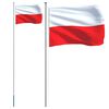 vidaXL Vlag met vlaggenmast Polen 6,08 m aluminium