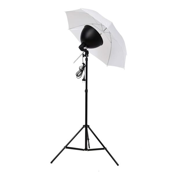 vidaXL Fotostudioset met verlichtingsset en achtergrond