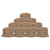 vidaXL Jutezakken 10 stuks 100x110 cm 100% Jute 340 g/m&sup2;