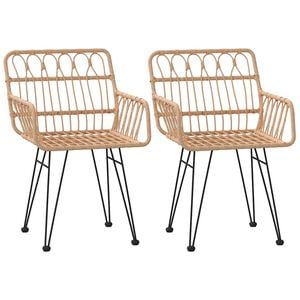 vidaXL Tuinstoelen 2 st met armleuning 56x64x80 cm PE-rattan