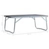 vidaXL Campingtafel inklapbaar 60x40 cm aluminium grijs
