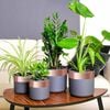 Miniatuurafbeelding van het product 2 van 8