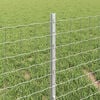 Miniatuurafbeelding van het product 4 van 7