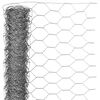 Nature Gaas zeshoekig 1x5 m 40 mm gegalvaniseerd staal