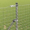Miniatuurafbeelding van het product 4 van 15