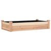 vidaXL Plantenbak verhoogd met voering 120x60x25 cm massief vurenhout