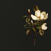 Miniatuurafbeelding van het product 7 van 10