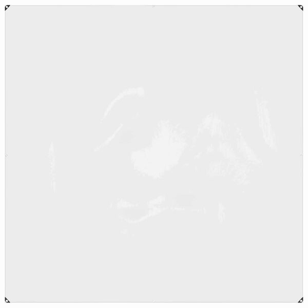 Productafbeelding 1 van 12
