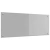 vidaXL Keukenachterwand Lichtgrijs 100 x 40 cm gehard glas