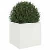 Miniatuurafbeelding van het product 4 van 11
